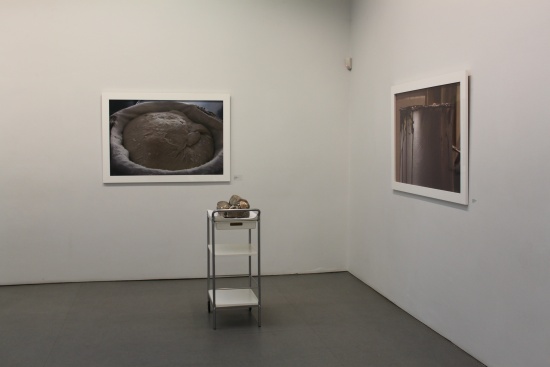 O'Brien installation images LCGA